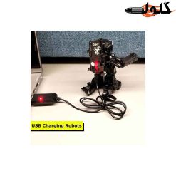 ربات 2عددی جنگجو شارژی 615_777