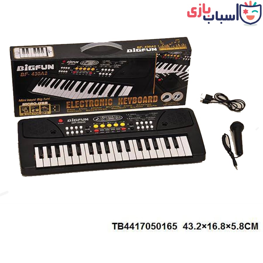 ارگ بیگفان 37کلید BIGFUN 430 - تصویر 3