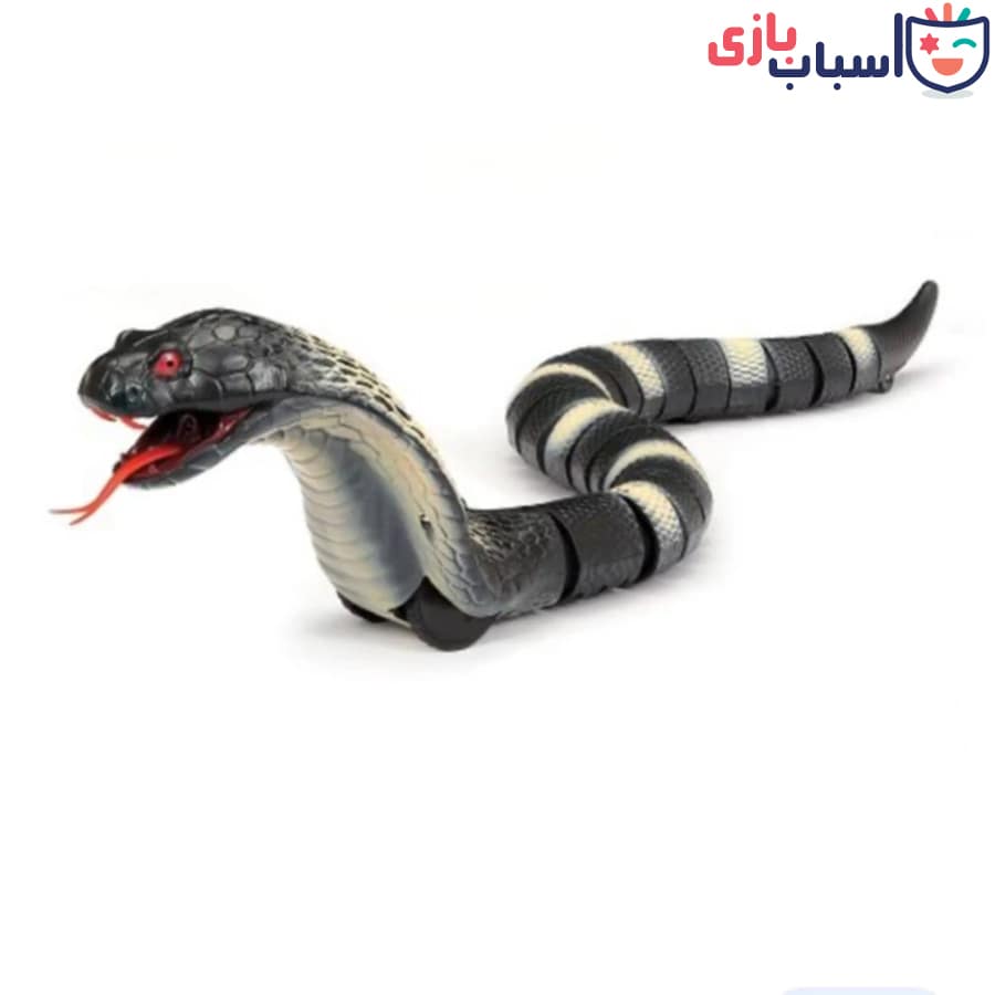 مار کنترلی شارژی 8808